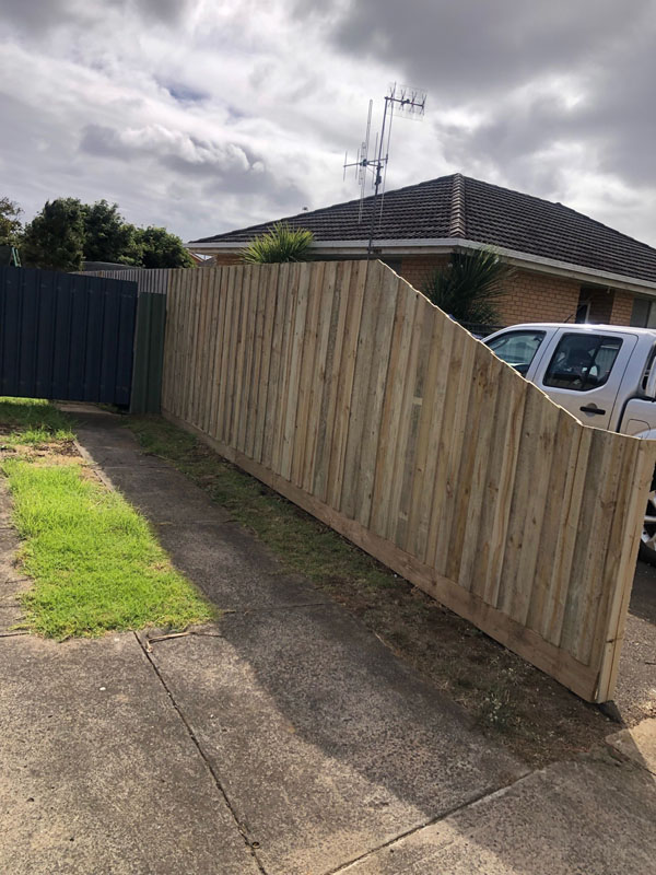 New timber paling fence along a concrete path and lawn